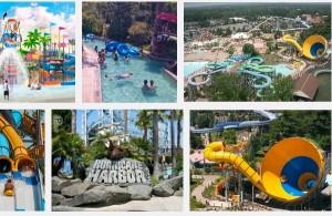 Hurricane Harbor Bail Bonds